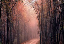 [国]中国国家男子球队：珍惜机会 良性竞争.