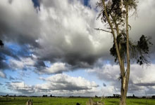 开元棋牌：[健身动起来]吴文英带来负重有氧综合训练.