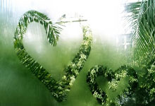 足球报：国足主场战澳大利亚预计到场采访记者不低于300人.